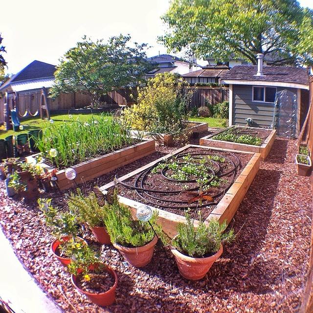 Grow Food, Not Lawns [Photo Gallery] - Urban Organic Gardener