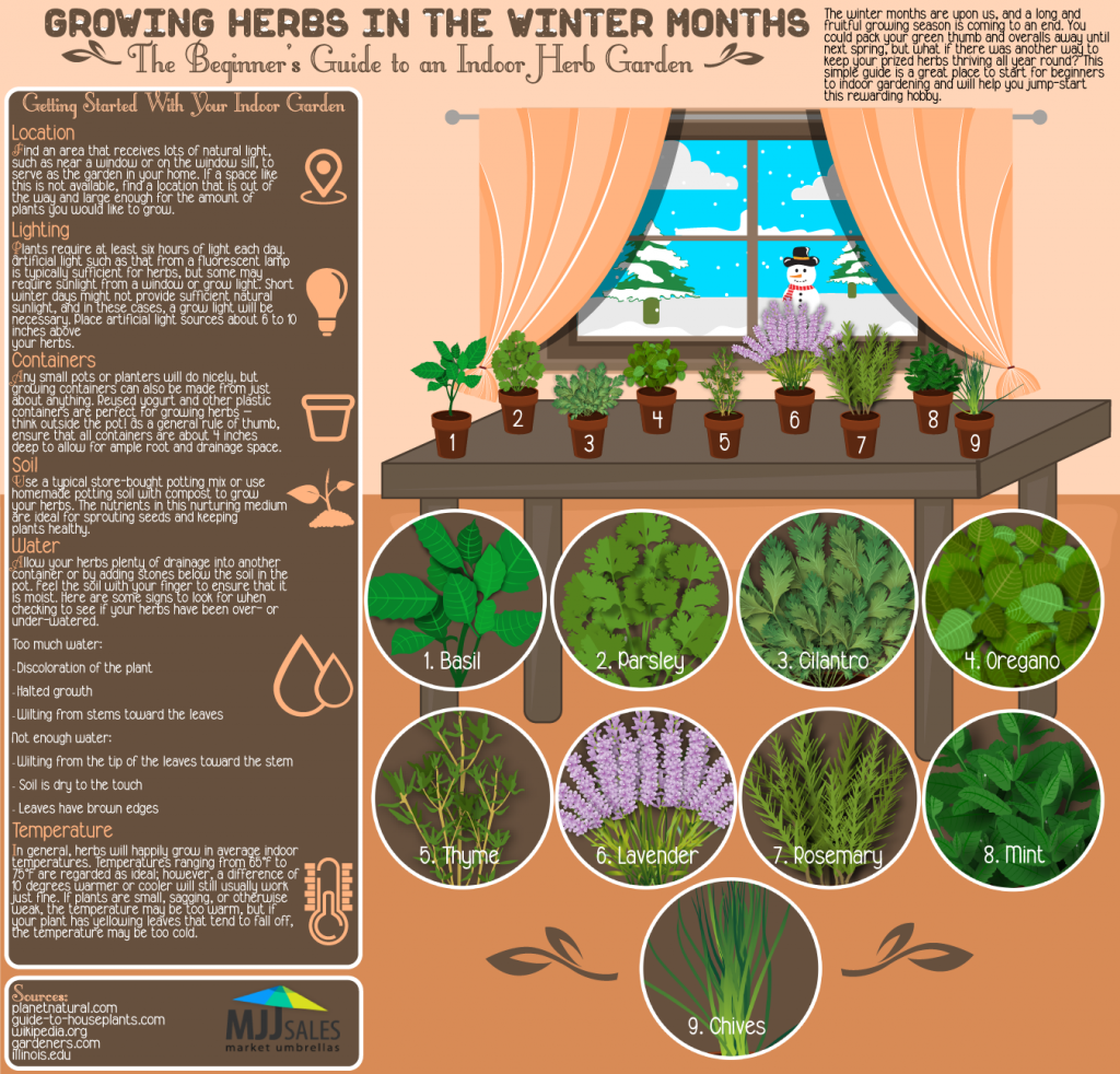 A Simple Guide To Growing 9 Delicious Herbs Indoors During The Winter Urban Organic Gardener