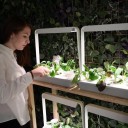 Urban Farmers Are Learning To Grow Food Without Soil Or Natural Light ...