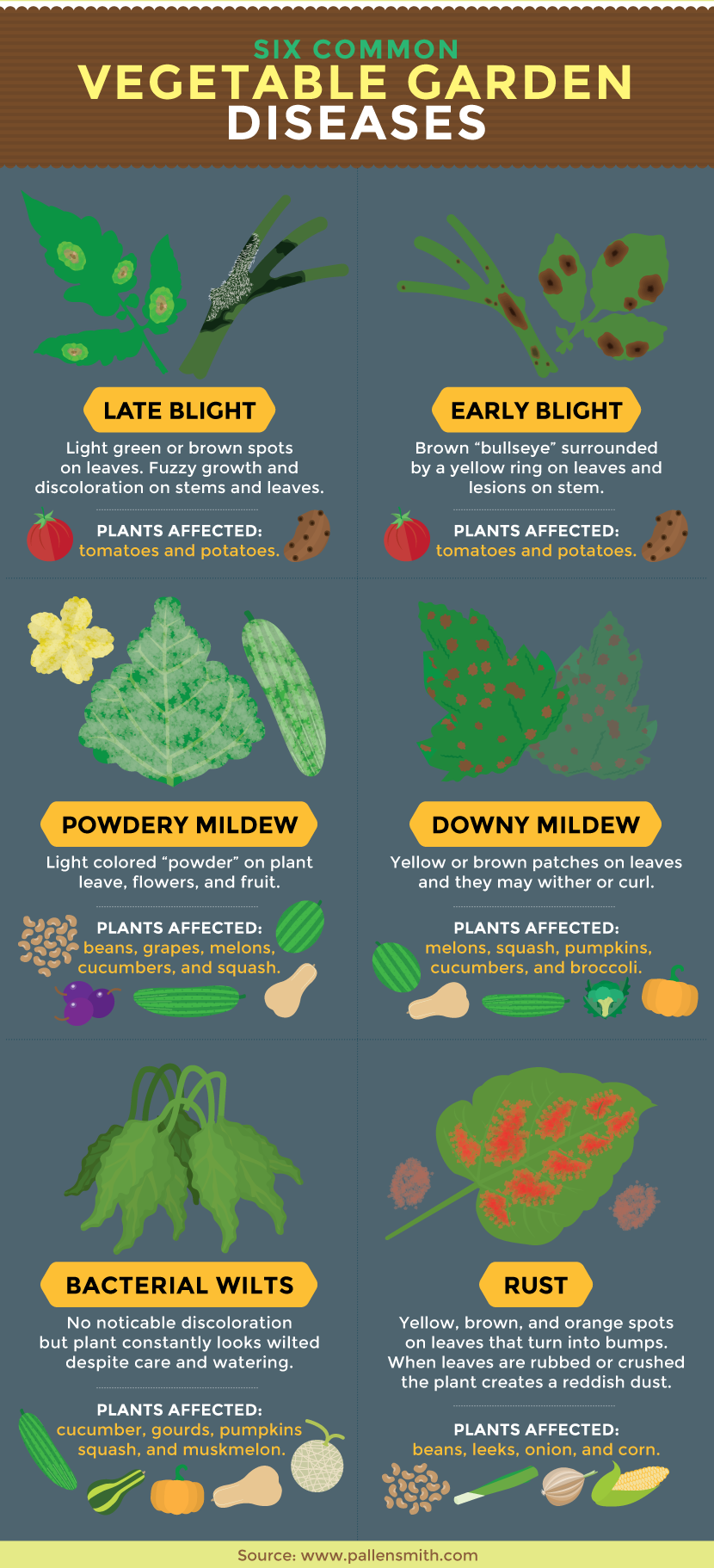 17-common-diseases-of-leafy-vegetables-photos-prevention-and