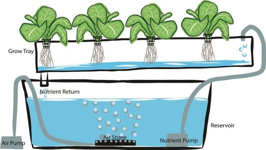 Hydroponics Guide: Learn To Grow Plants Without Soil 2018 - Urban ...