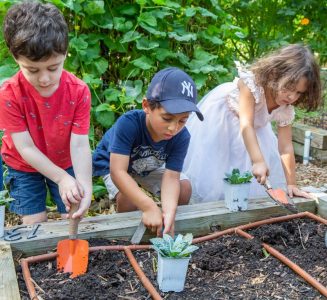 Want to have a fall veggie garden? Start planting these now! - Urban ...