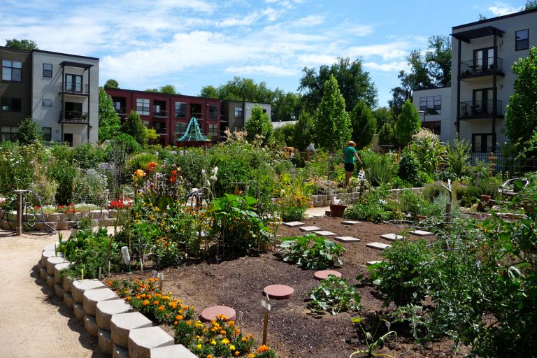 Sacramento Is Making Urban Agriculture A Way Of Life - Urban Organic 