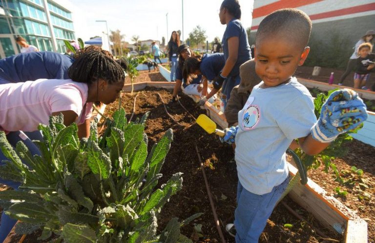 Long Beach Gears Up For Martin Luther King Jr. Day Of Service - Urban ...