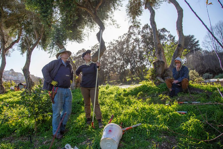 SF plans to launch an Urban Agriculture Resource Center for community ...