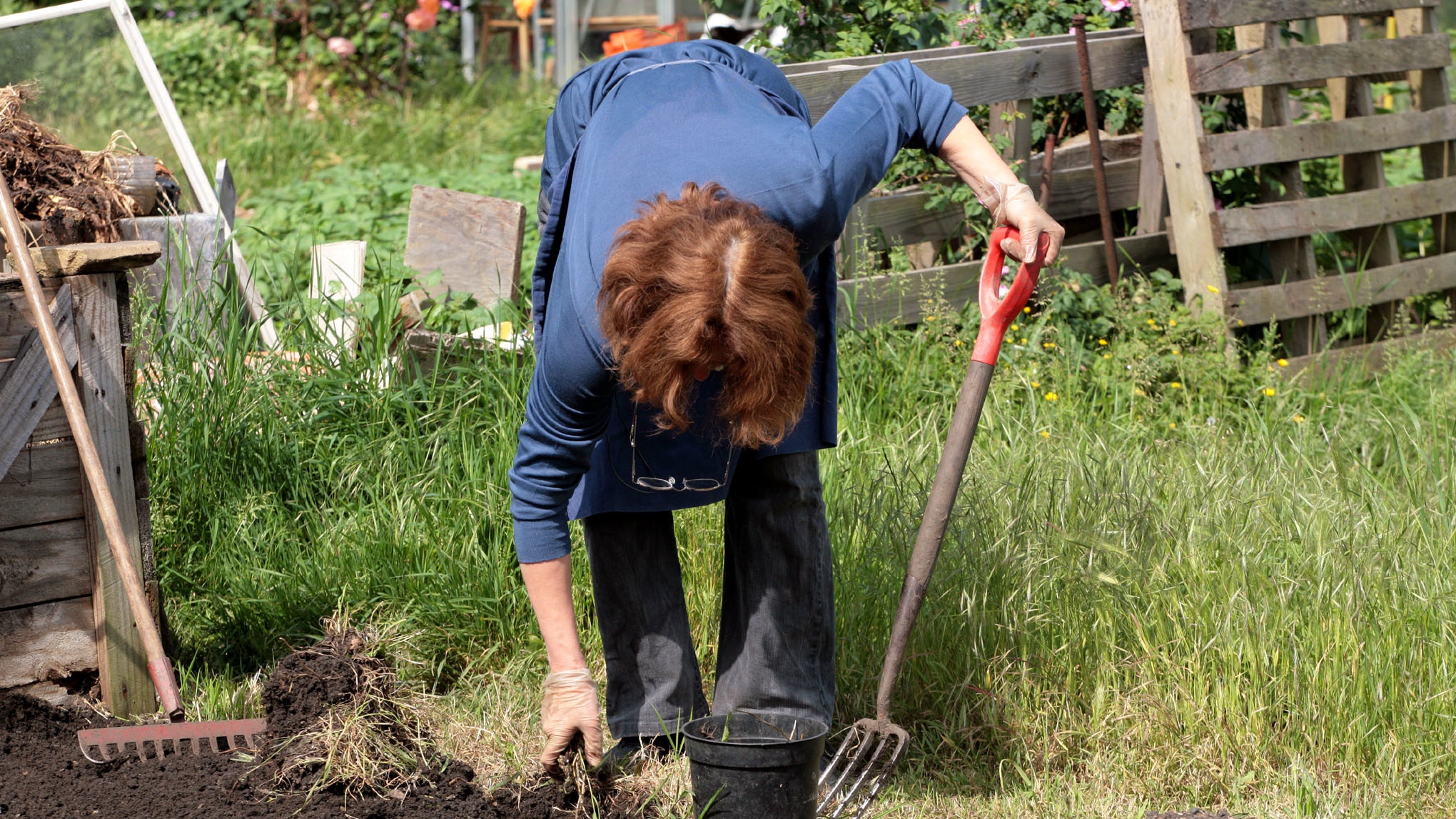 Gardening for just 10 minutes a week can cut risk of death, study ...