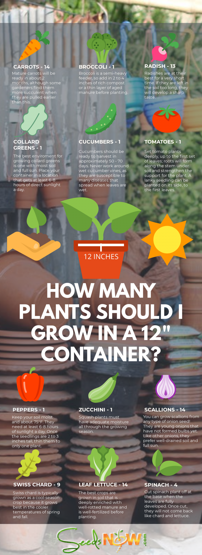 How Many Plants Can You Grow in a 12″ Container? Urban Organic Gardener