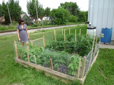 5 Tips To Start An Urban Garden - Urban Organic Gardener